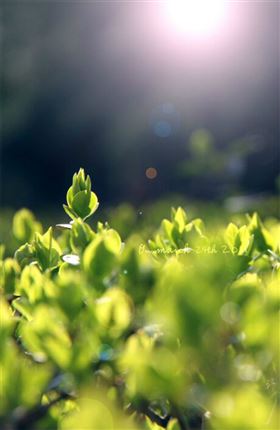 瑞馬燃氣壁掛爐，滿足您的溫暖22