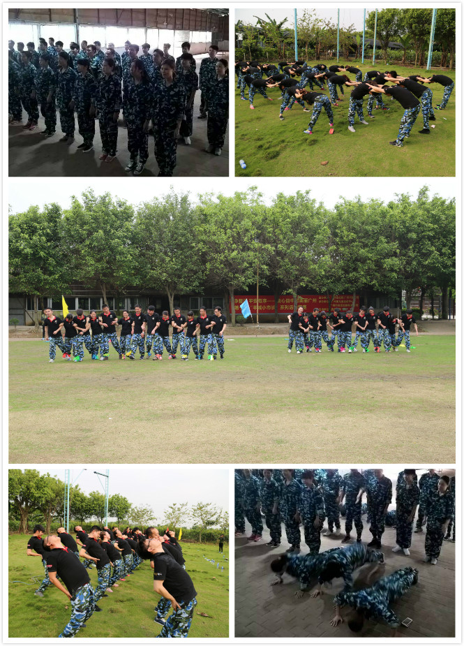 激情瑞馬展活力,凝心聚力瑞馬夢33