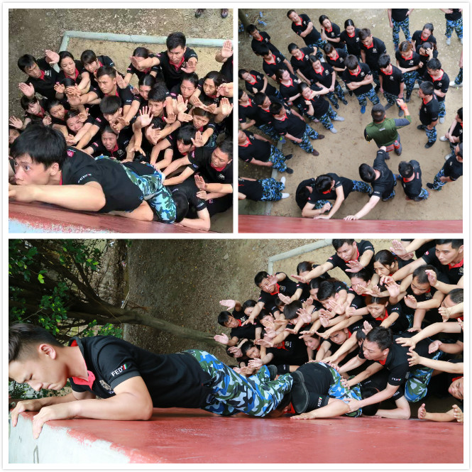 激情瑞馬展活力,凝心聚力瑞馬夢55